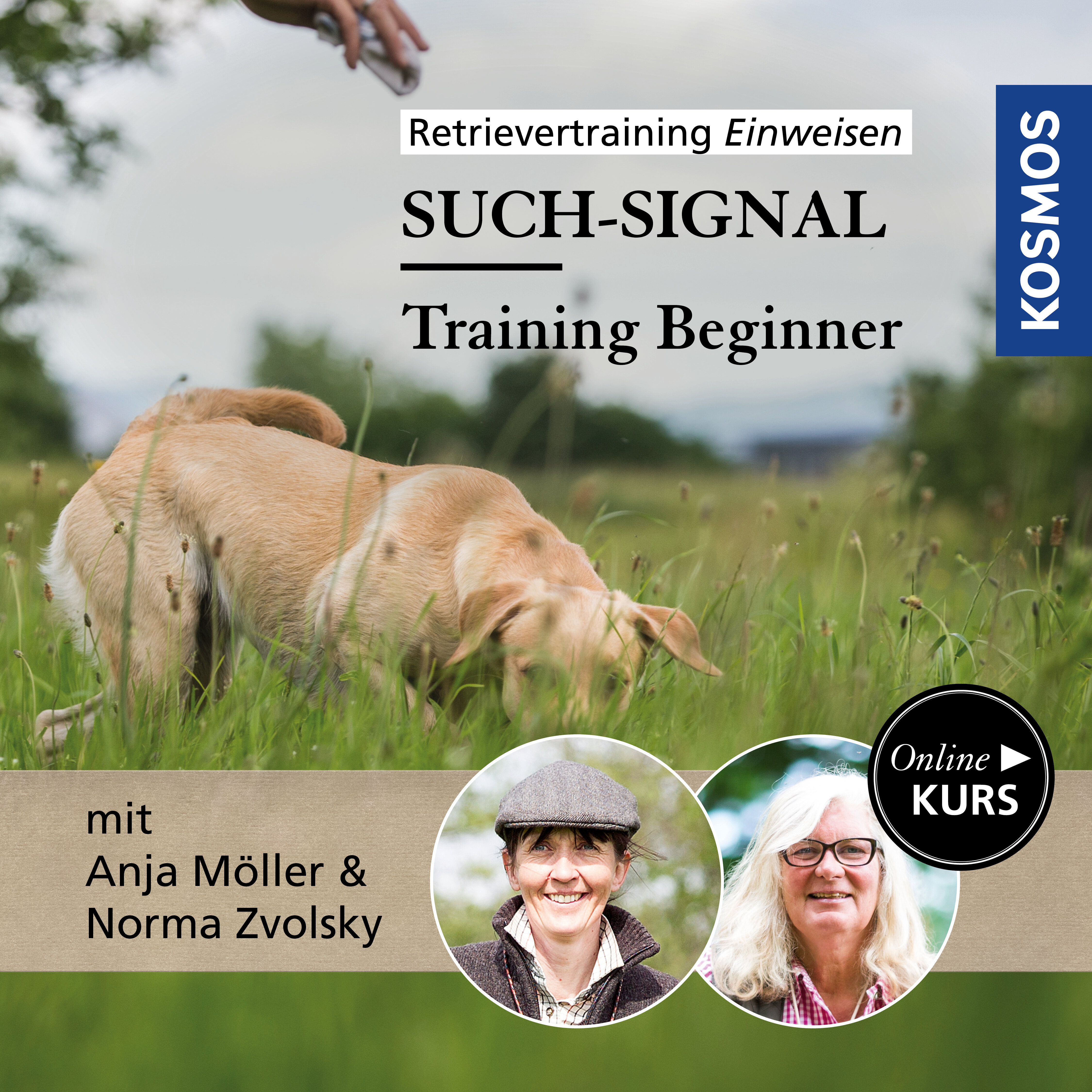 Retrievertraining Einweisen – Training Beginner Such-Signal